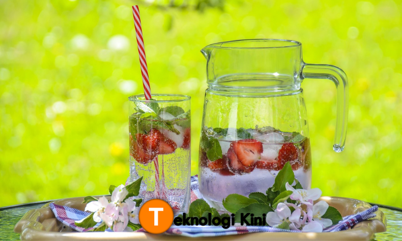 minuman dengan daun mint