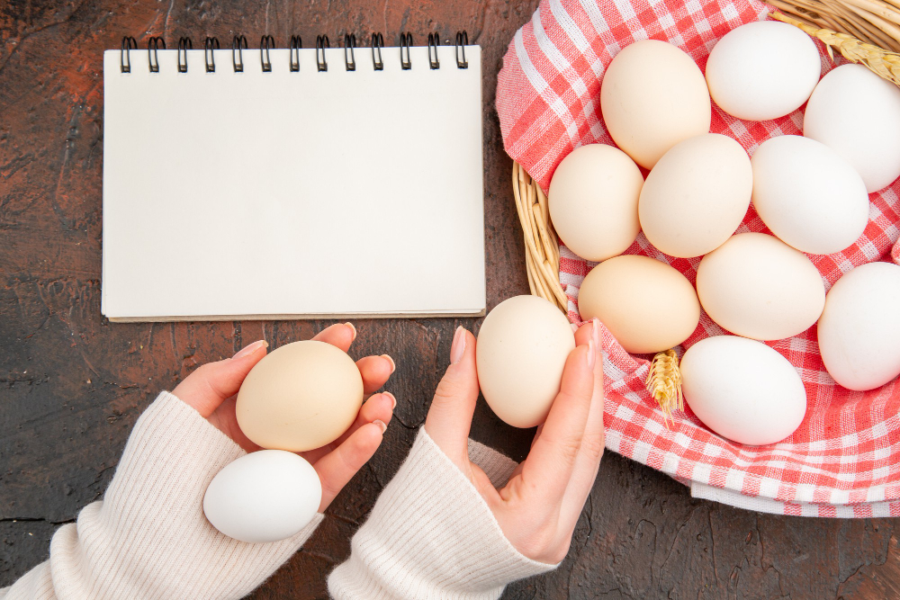 tips memeriksa kualitas telur