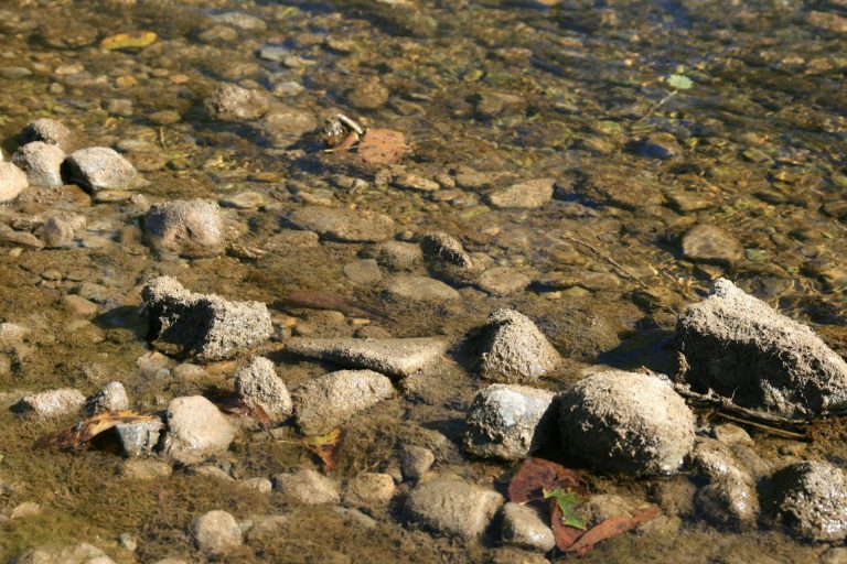 jenis batu di sungai