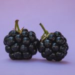 Manfaat blackberry