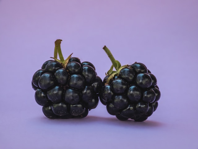 Manfaat blackberry