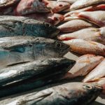 jenis ikan laut konsumsi